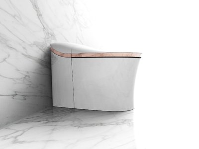 科勒榮登2017中國(guó)品牌力指數(shù)座便